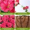Artificial Fake Hanging Flowers Plants Baskets for Outdoor Spring(Hotpink)